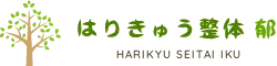 整体初心者も安心、あなたにピッタリの施術方法を提案
